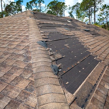 Roof repair